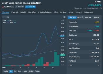 Công ty Cao su Miền Nam lên tiếng sau thông tin 2 lãnh đạo bị bắt- Ảnh 1.