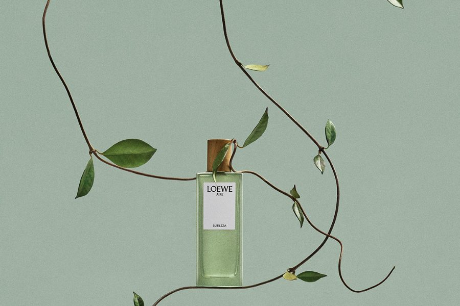 Mùi hương gọi hè: LOEWE vẽ lại mùa nắng bằng ký ức khứu giác